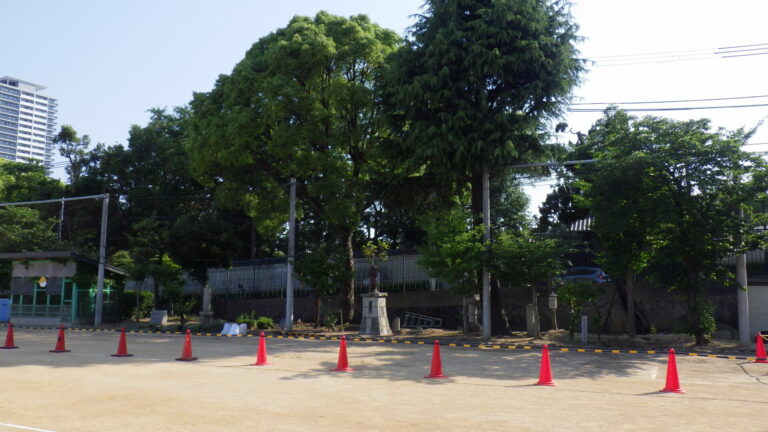 こうべ小学校の木